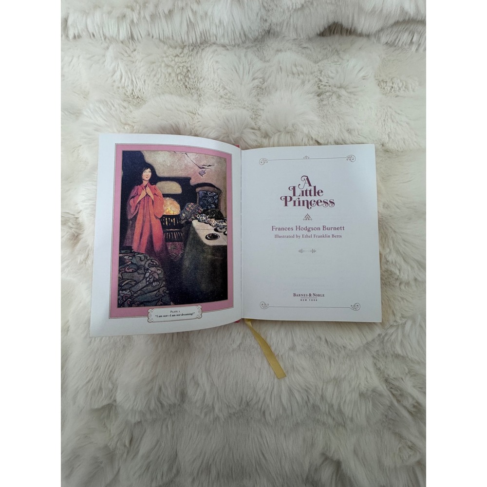 Barnes & Noble A Little Princess Frances Hodgson Burnett Pink Leatherbound Book - Picture 2 of 8
